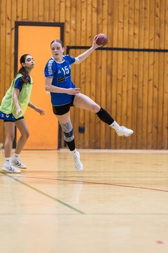 Bild 117 - wBJ TSV Ellerau - HSG Stoertal Hummeln : Ergebnis: 26:19